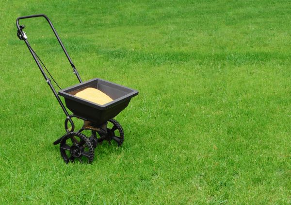 Grand Junction Lawn Treatment