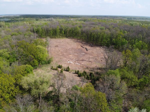 Grand Junction Land Clearing
